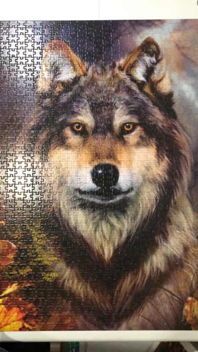 Фотография покупателя товара Пазлы «Бенте Шлик. Волк», 1000 элементов - Фото 3