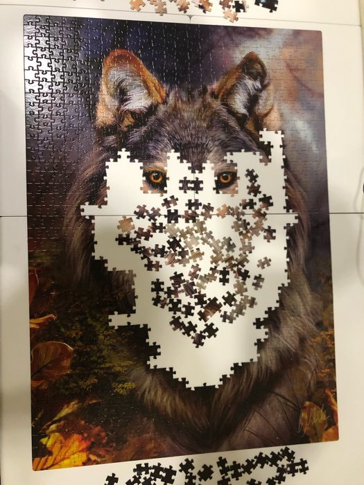 Фотография покупателя товара Пазлы «Бенте Шлик. Волк», 1000 элементов - Фото 1