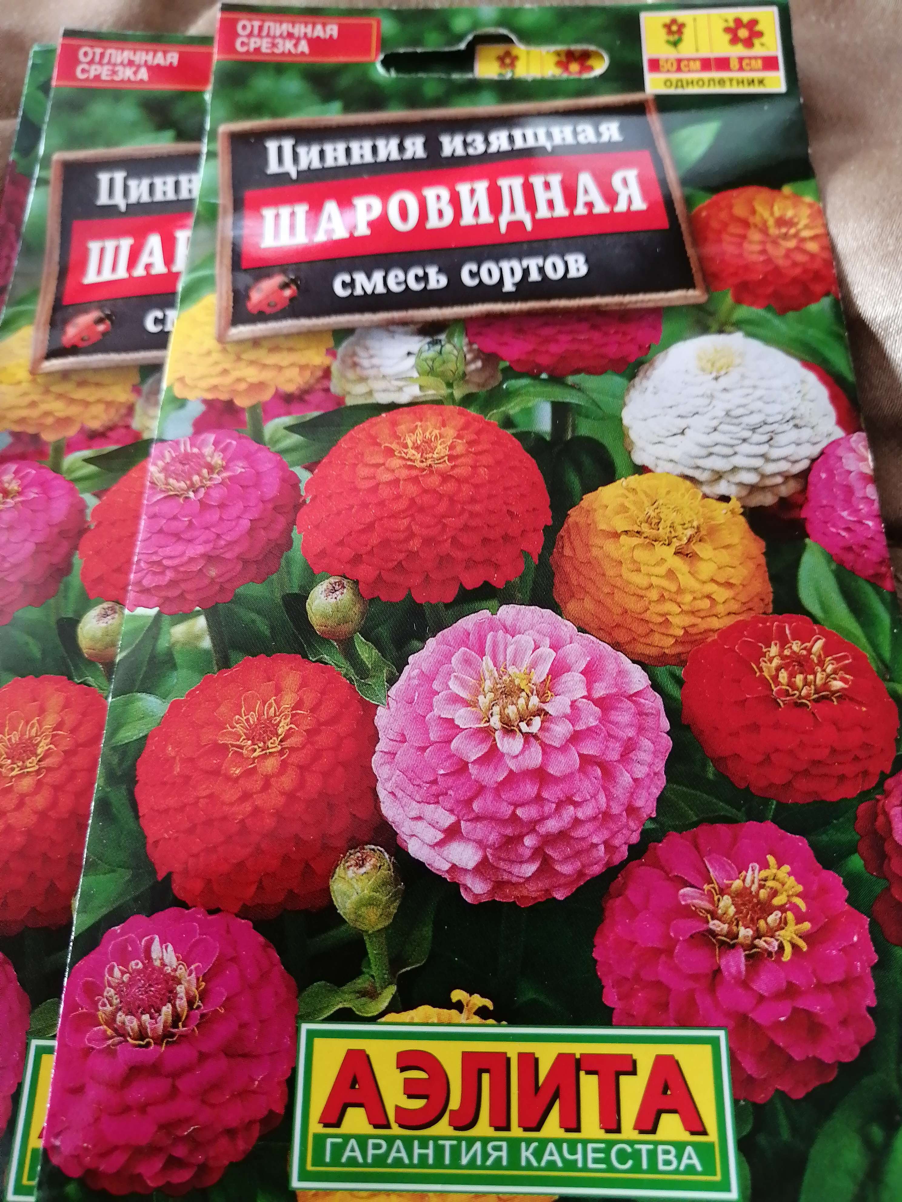 Фотография покупателя товара Семена цветов Цинния "Лилипут" смесь, 0,3 г