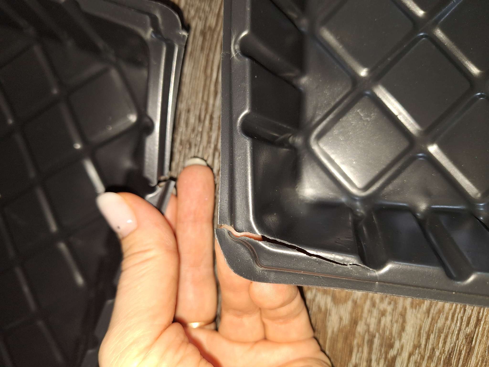 Фотография покупателя товара Поддон для рассады, 55×30×5.6 см, пластик, чёрный, дно МИКС, Greengo - Фото 50