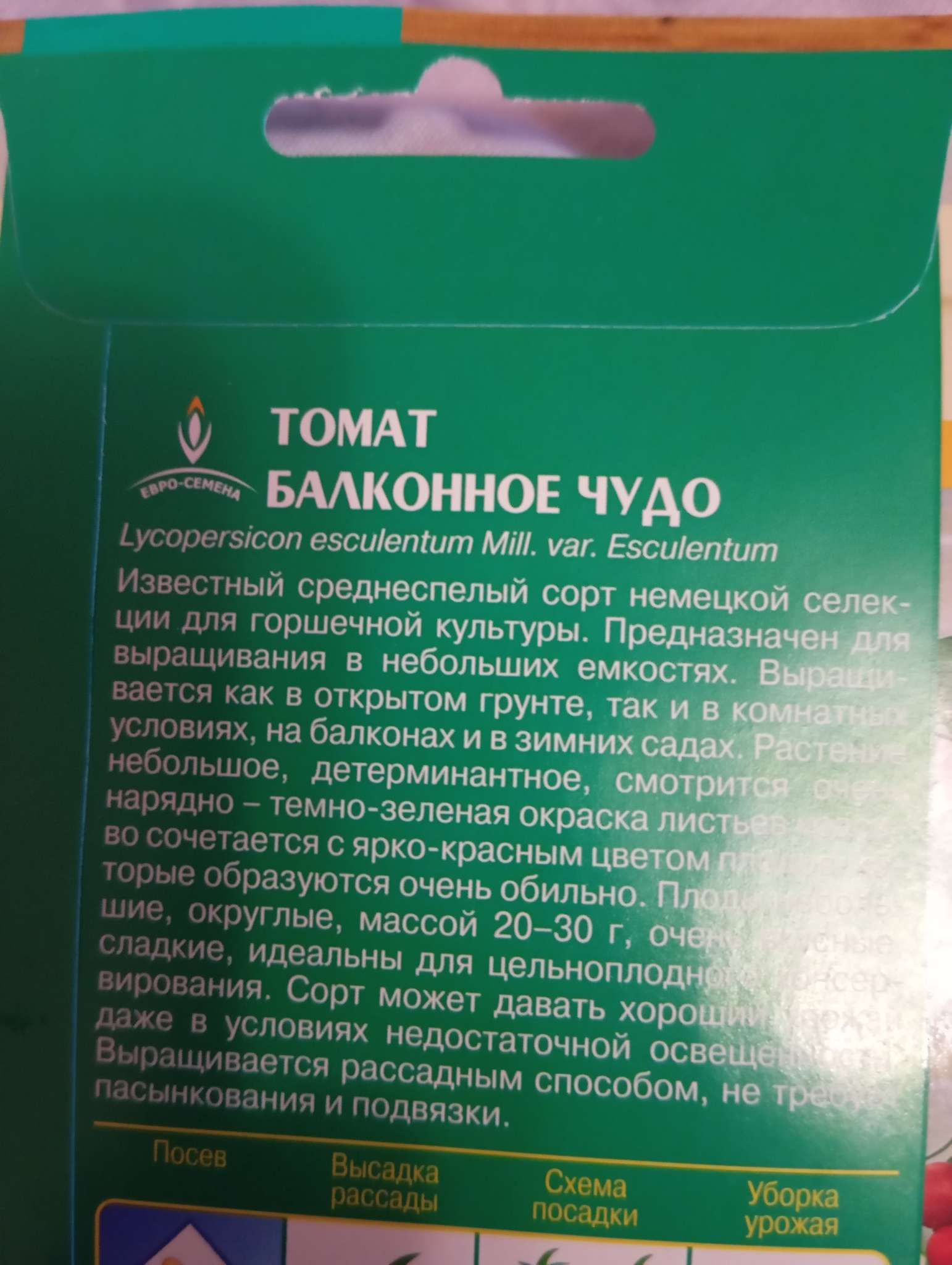 Фотография покупателя товара Семена Томат «Балконное чудо», ультраскороспелый, детерминантный, 15 шт., «Евро-семена» - Фото 9