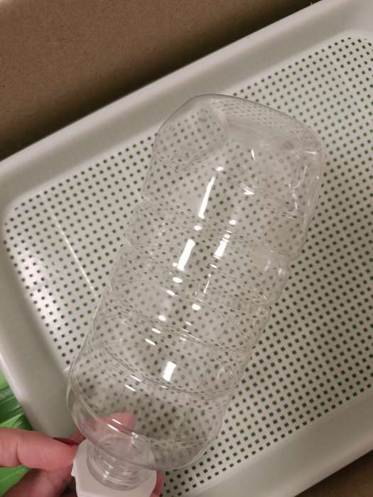 Фотография покупателя товара УЦЕНКА Лоток для проращивания травы кошкам с бутылкой для воды 32×23.5×5 см - Фото 1