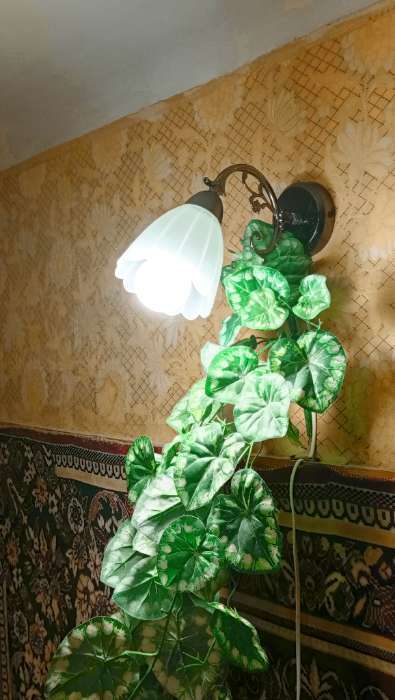 Фотография покупателя товара Бра ЭкономСвет 4671/1wAN, 1×40 Вт, E27, 30×10×18 см, чёрный хром - Фото 1