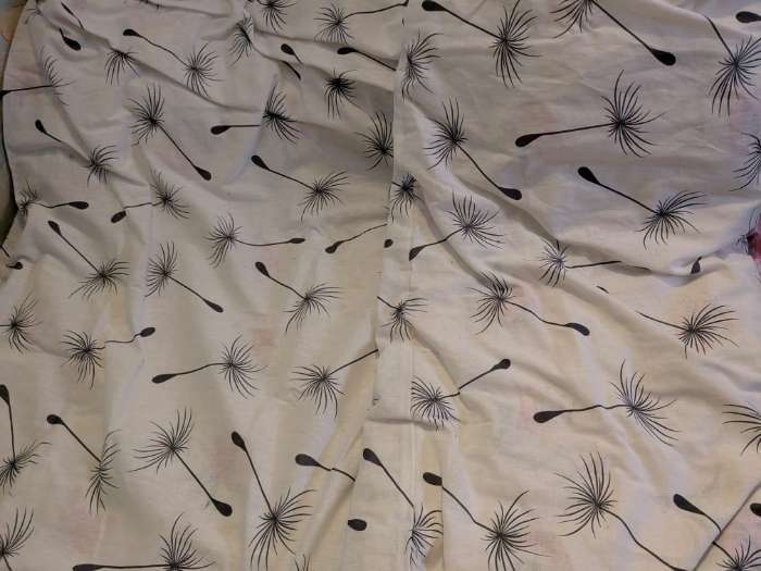 Фотография покупателя товара Пододеяльник евро «Этель. Легкость ветра», 200×215 см, бязь - Фото 1