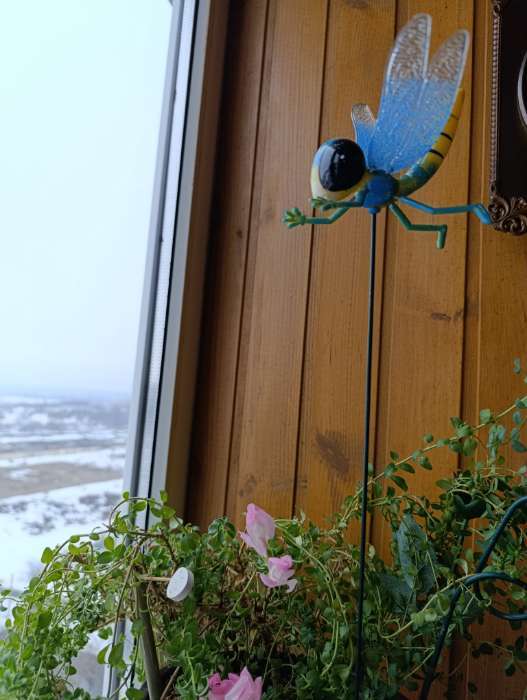 Фотография покупателя товара Штекер садовый «Стрекоза волшебница», 14×10 см, h=40 см, МИКС, Greengo - Фото 5