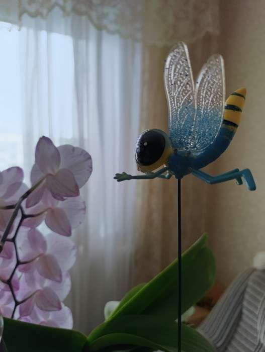 Фотография покупателя товара Штекер садовый «Стрекоза волшебница», 14×10 см, h=40 см, МИКС, Greengo - Фото 4