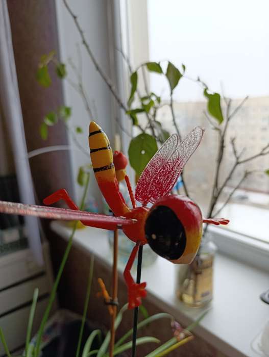 Фотография покупателя товара Штекер садовый «Стрекоза волшебница», 14×10 см, h=40 см, МИКС, Greengo - Фото 3