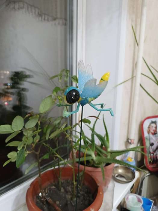 Фотография покупателя товара Штекер садовый «Стрекоза волшебница», 14×10 см, h=40 см, МИКС, Greengo - Фото 2