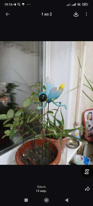 Фотография покупателя товара Штекер садовый «Стрекоза волшебница», 14×10 см, h=40 см, МИКС, Greengo - Фото 1