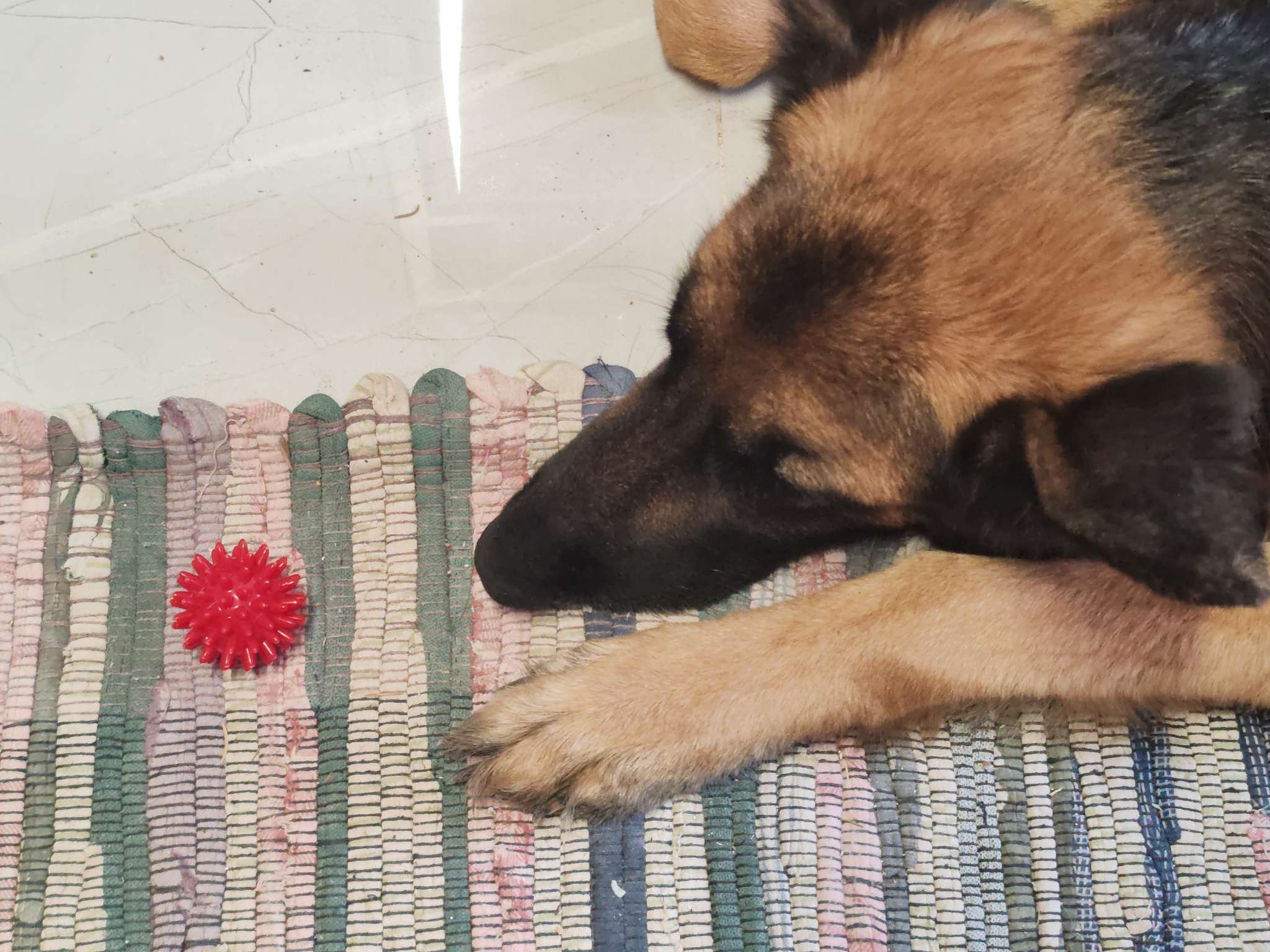 Фотография покупателя товара Массажёр «Ёжик», d=4.5 см, 17 г - Фото 1