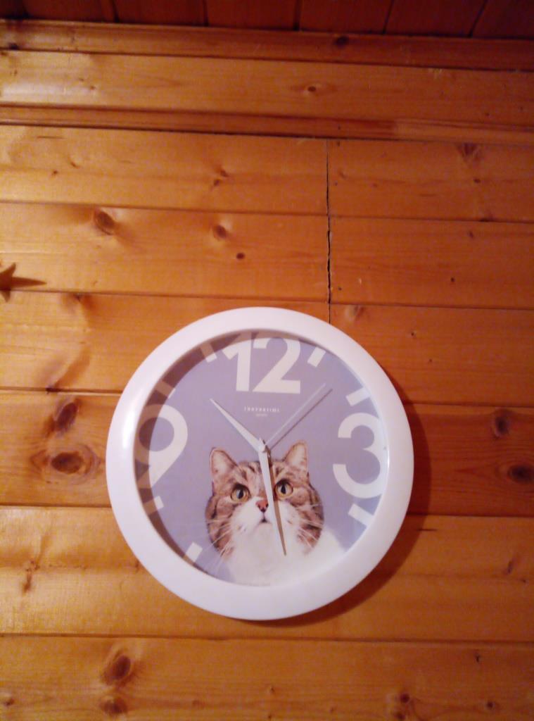 Фотография покупателя товара Часы настенные, серия: Животный мир, "Кот", d=29 см, белый обод