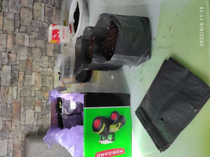 Фотография покупателя товара Пакет для рассады, 300 мл, 13 × 7 см, полиэтилен толщиной 50 мкм, с перфорацией, чёрный, Greengo - Фото 9