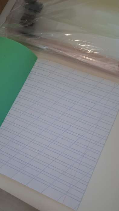 Фотография покупателя товара Тетрадь 12 листов косая линейка "Зелёная обложка", плотность 60 г/м2, белизна 92% - Фото 3