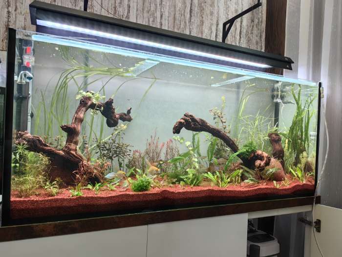 Фотография покупателя товара Аквариум «Прямоугольный» без крышки, 320 л, 130×45×55 см - Фото 1