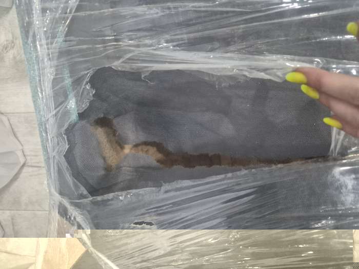 Фотография покупателя товара Диван прямой NEXT, c подлокотниками, спальное место 1200×1950 мм, обивка рогожка, цвет coffee - Фото 9