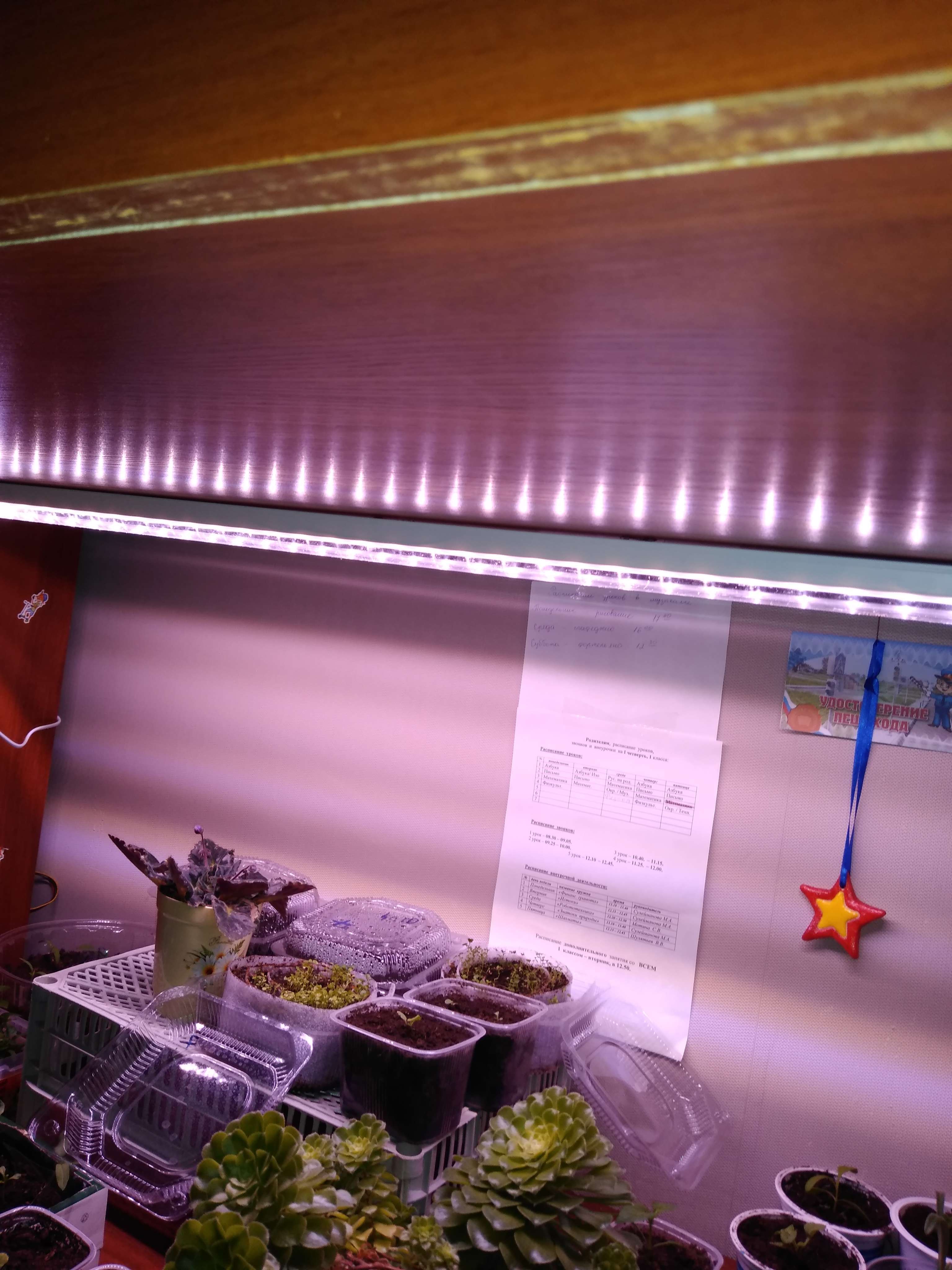 Фотография покупателя товара Фитосветильник светодиодный Uniel, 14 Вт, 872 мм, IP20, 220 В, полноспектральный, с выкл. - Фото 5