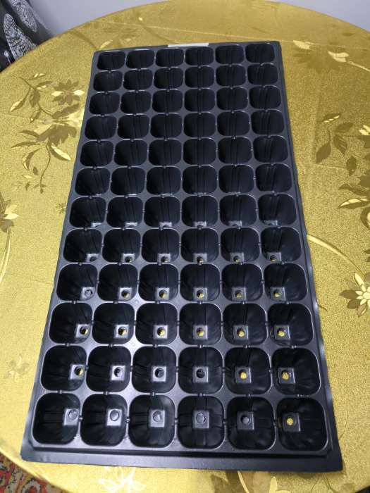 Фотография покупателя товара Кассета для рассады, на 72 ячейки, по 50 мл, из пластика, чёрная, 54×28×4 см, Greengo - Фото 1
