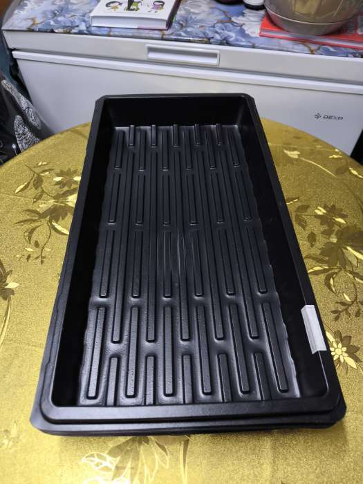 Фотография покупателя товара Поддон для рассады, 55×30×5.6 см, пластик, чёрный, дно МИКС, Greengo - Фото 3