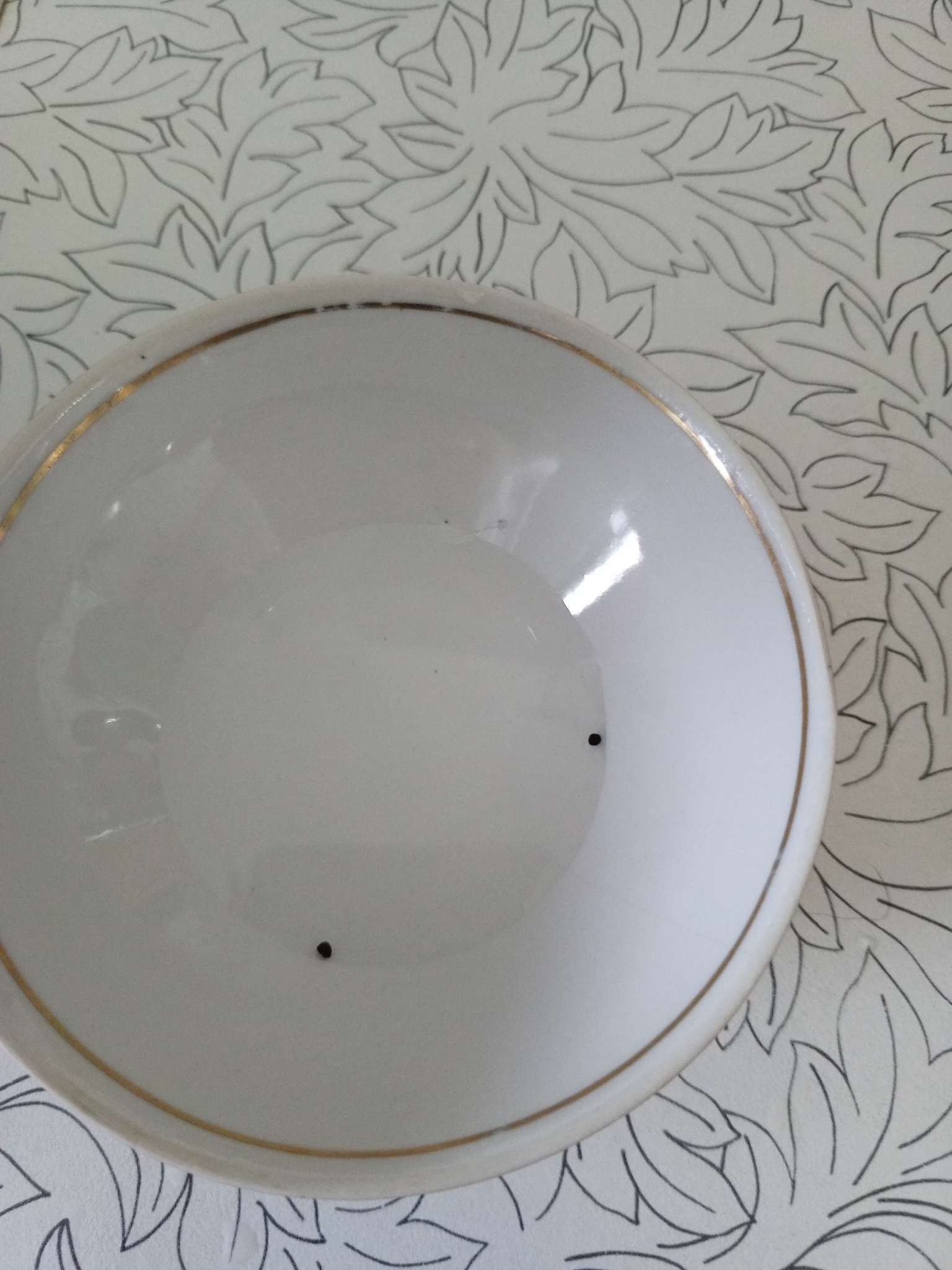 Фотография покупателя товара Семена Эвкалипт Baby Blue Bouquet припудренный 3шт. / НОВИНКА  12.29 г. - Фото 1