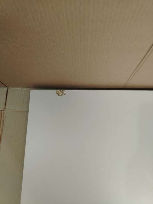 Фотография покупателя товара Шкаф прямой четырёхстворчатый «Бруно», 1600×505×2216 мм, цвет кашемир - Фото 125