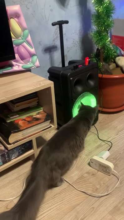 Фотография покупателя товара Портативная колонка Borofone BP9, 10 Вт, 2200 мАч, BT5.0, TWS, TF card, USB, AUX, FM-радио, микрофон - Фото 1