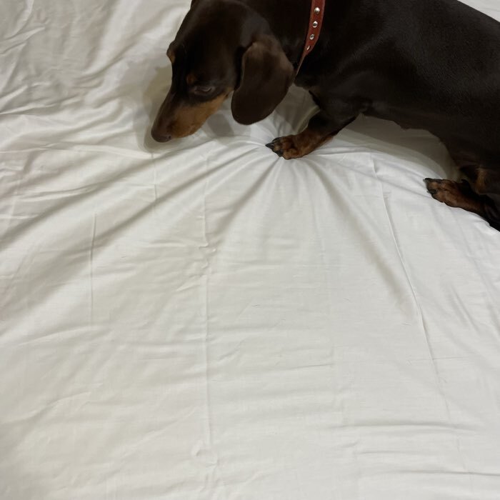 Фотография покупателя товара Простыня на резинке евро SL Home Soft, 200×200+30 см, сатин - Фото 8