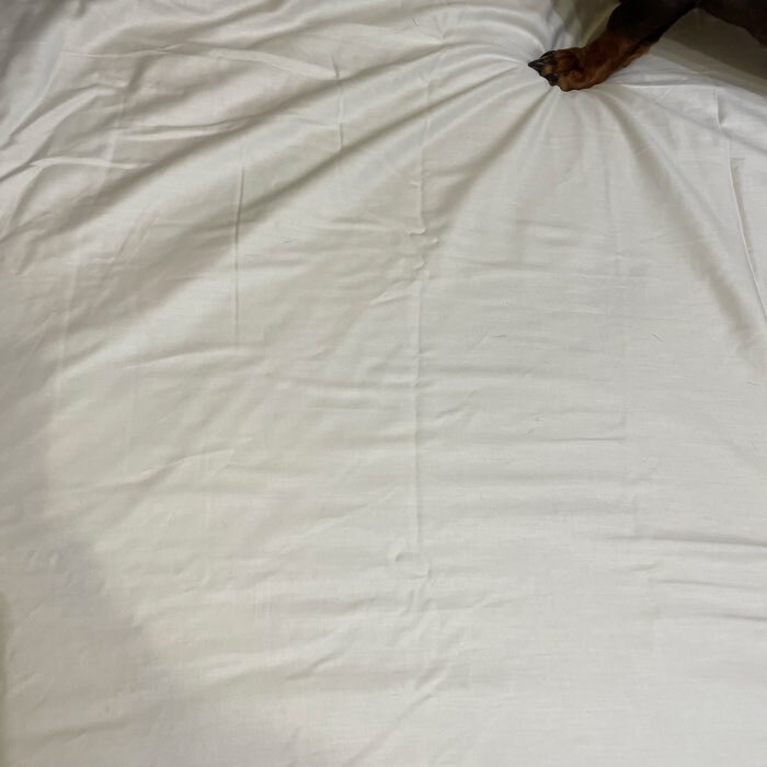 Фотография покупателя товара Простыня на резинке евро SL Home Soft, 200×200+30 см, сатин - Фото 9