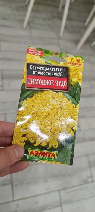 Фотография покупателя товара Набор семян Бархатцы «Лимонное чудо» прямостоячие, однолетник, 5 шт., «Мой выбор» - Фото 1