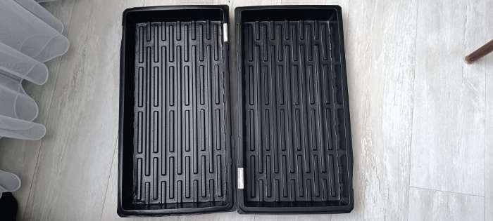 Фотография покупателя товара Поддон для рассады, 55×30×5.6 см, пластик, чёрный, дно МИКС, Greengo - Фото 25