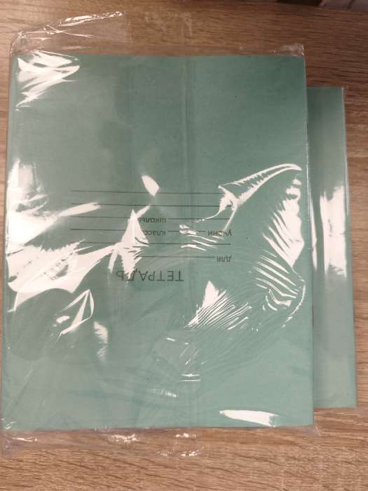 Фотография покупателя товара Набор тетрадей «Зелёная обложка» 20 штук, 12 листов в косую линейку, эконом, плотность 60 г/м² - Фото 1