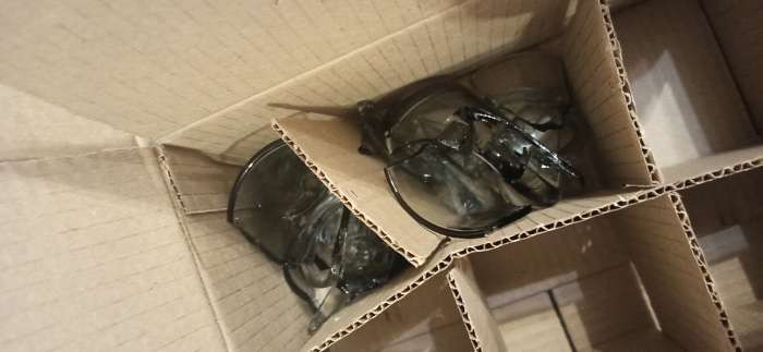 Фотография покупателя товара Кружка Sea Brim Smoky, 250 мл, стекло, МИКС - Фото 4