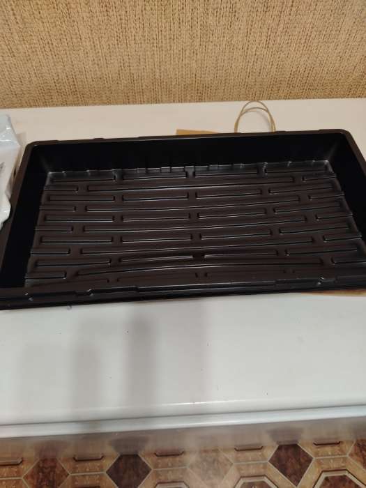 Фотография покупателя товара Поддон для рассады, 55×30×5.6 см, пластик, чёрный, дно МИКС, Greengo - Фото 1