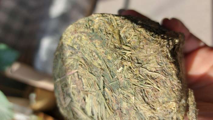 Фотография покупателя товара Сено луговое Таблеронн «Зверьё мое», 200 г - Фото 9