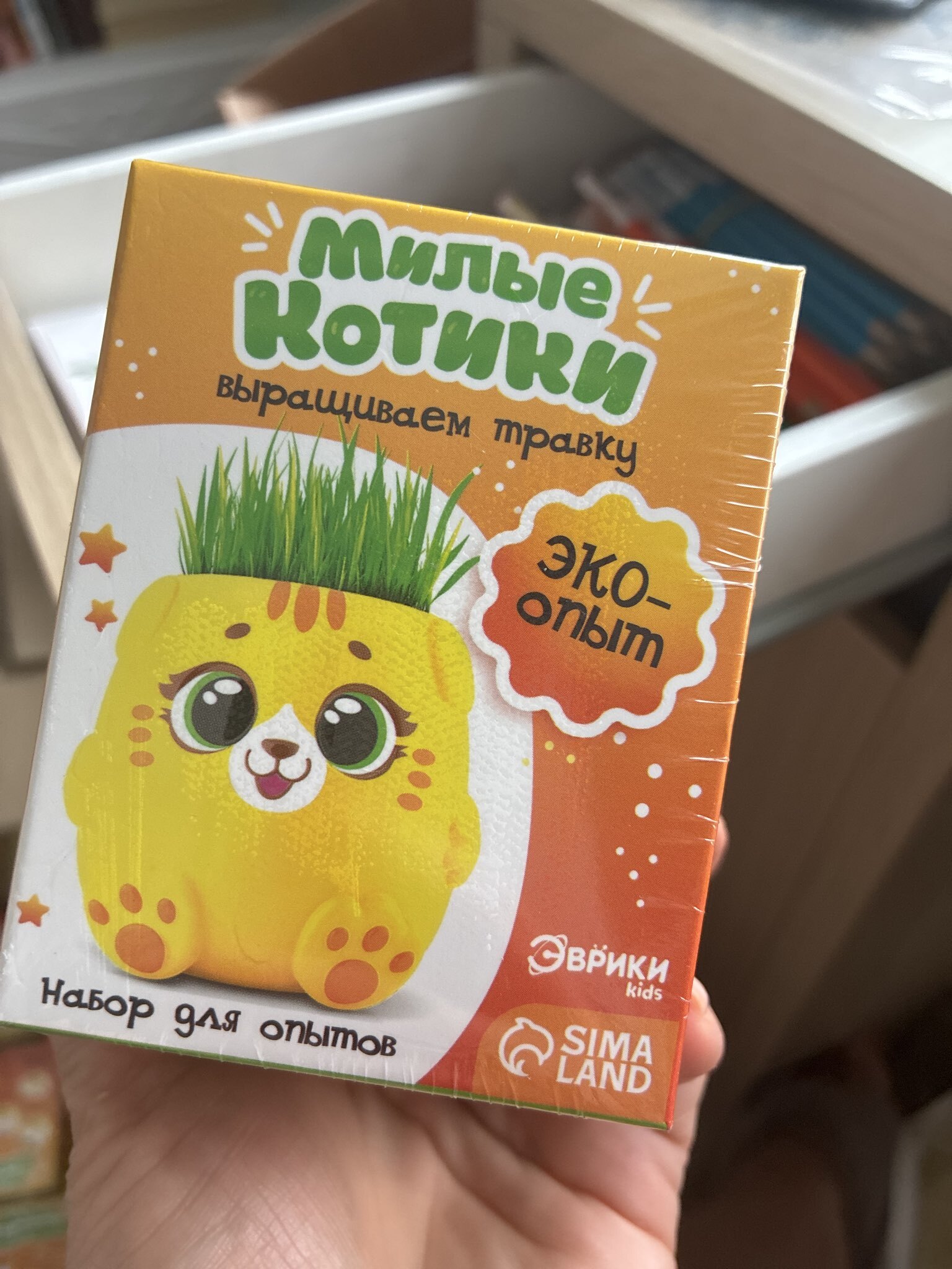 Фотография покупателя товара Набор для опытов, для детей «Пташки, выращиваем травку», растение в фиолетовом горшочке - Фото 1