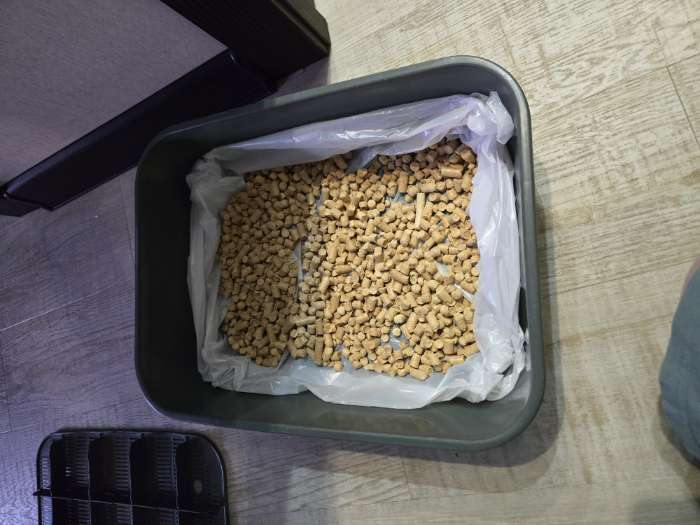 Фотография покупателя товара Туалет для кошек «Сима» FIX, 29×38×10.5 см, с сеткой, пластик, синий - Фото 4