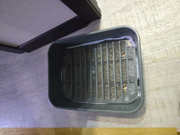 Фотография покупателя товара Туалет для кошек «Сима» FIX, 29×38×10.5 см, с сеткой, пластик, синий - Фото 1