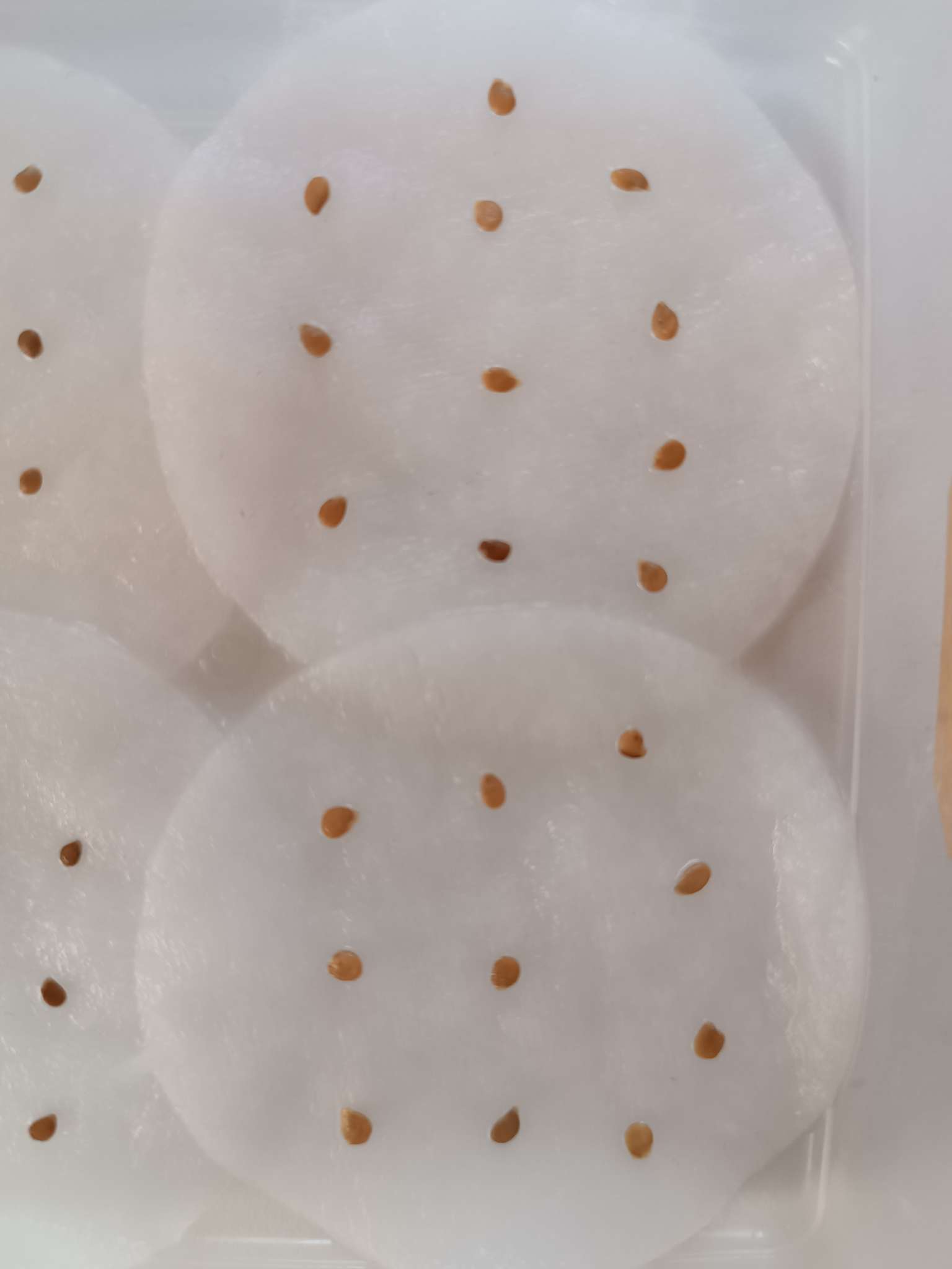 Фотография покупателя товара Семена Томат «Санька», ультраскороспелый, детерминантный, низкорослый, 20 шт., «Аэлита» - Фото 1