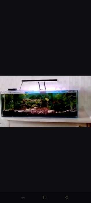 Фотография покупателя товара Аквариум Прямоугольный «Акваскейп» прозрачный шов, 36 л, 60×30×20 см - Фото 2