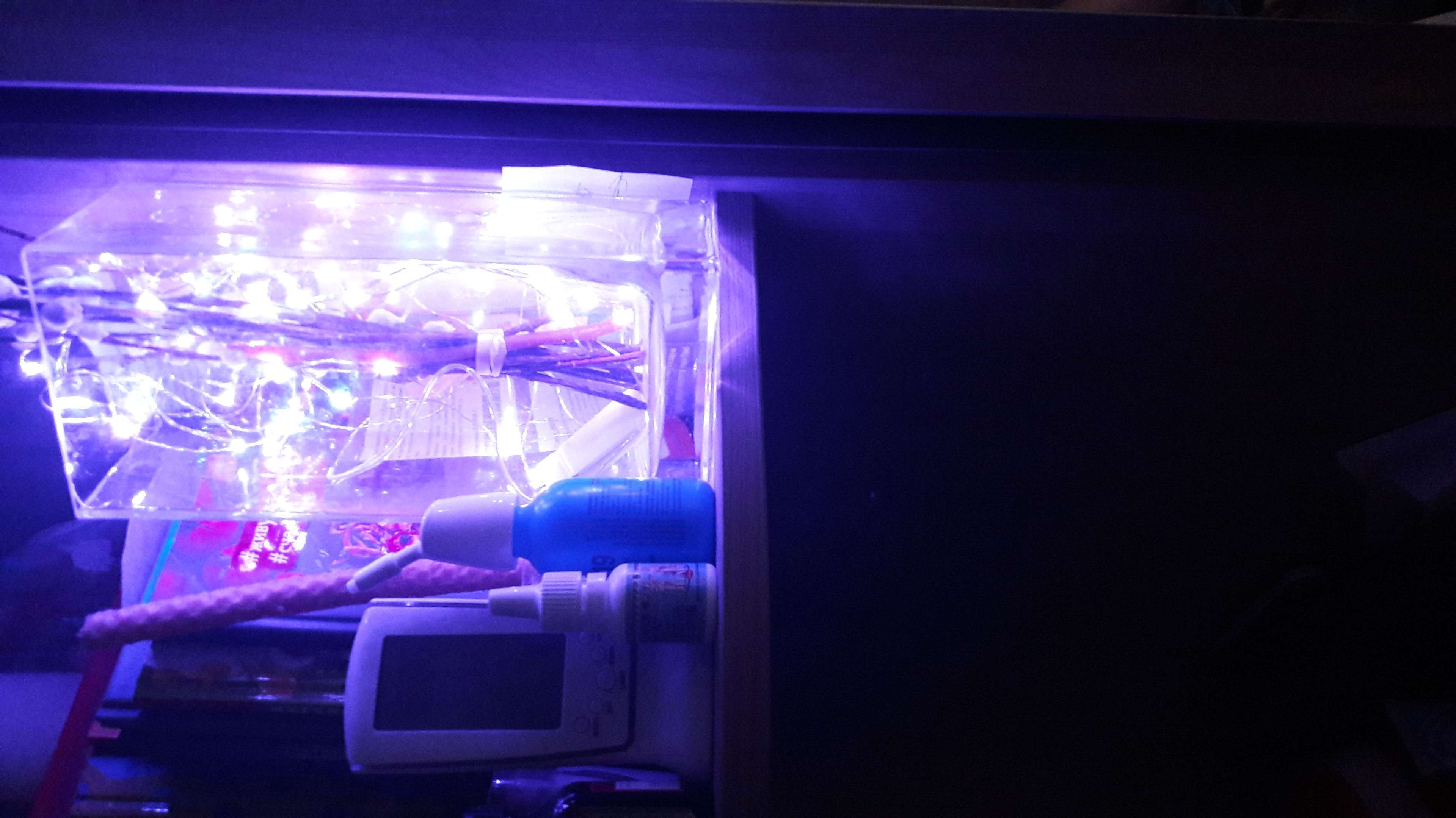 Фотография покупателя товара Гирлянда «Нить» 5 м роса, IP20, серебристая нить, 50 LED, свечение фиолетовое, CR2032х2 - Фото 18