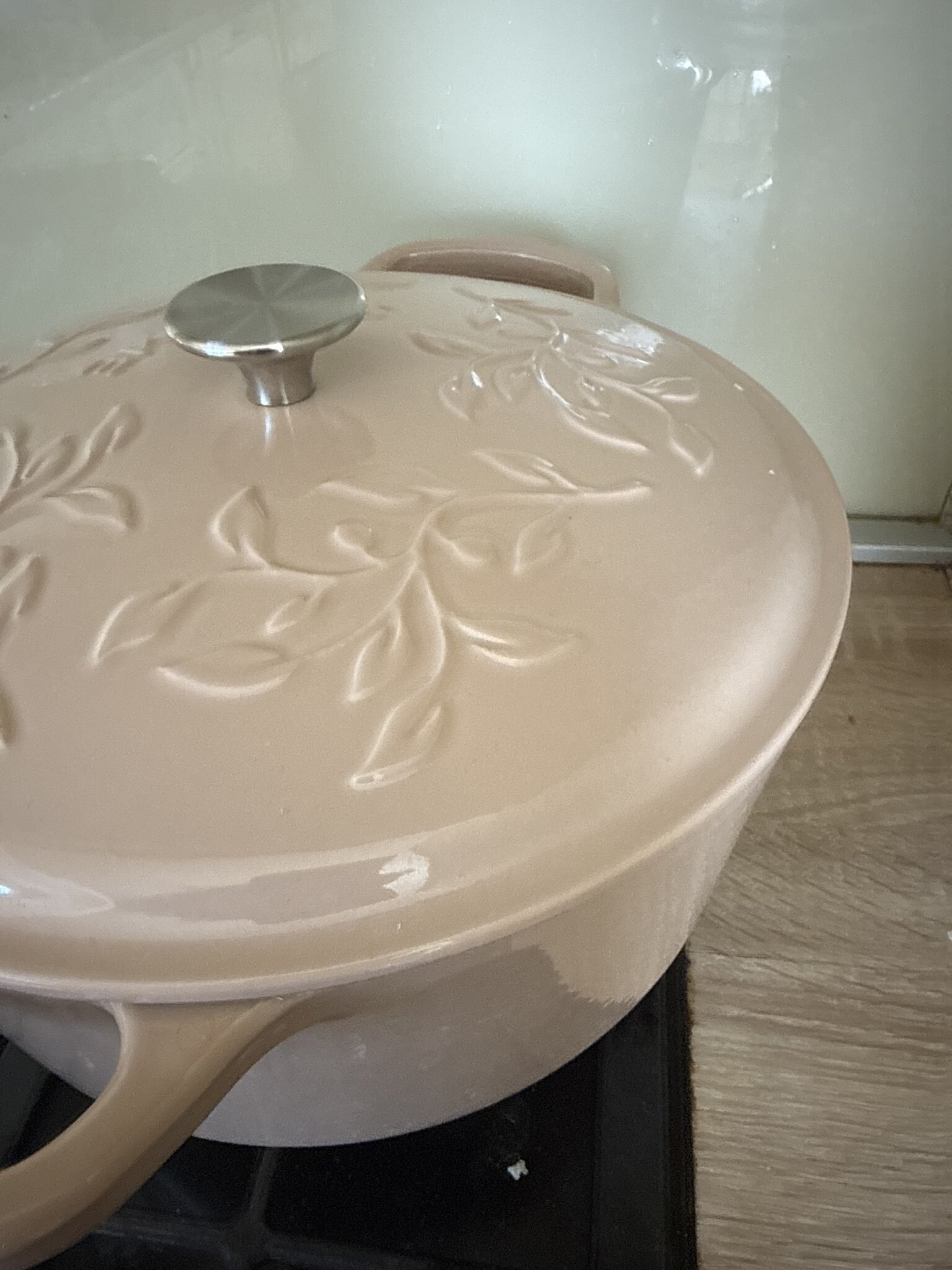 Фотография покупателя товара Кастрюля SL Home, 6 л, d=28 см, h=12.5 см, индукция, с эмалированным покрытием, чугун, бежевая - Фото 1