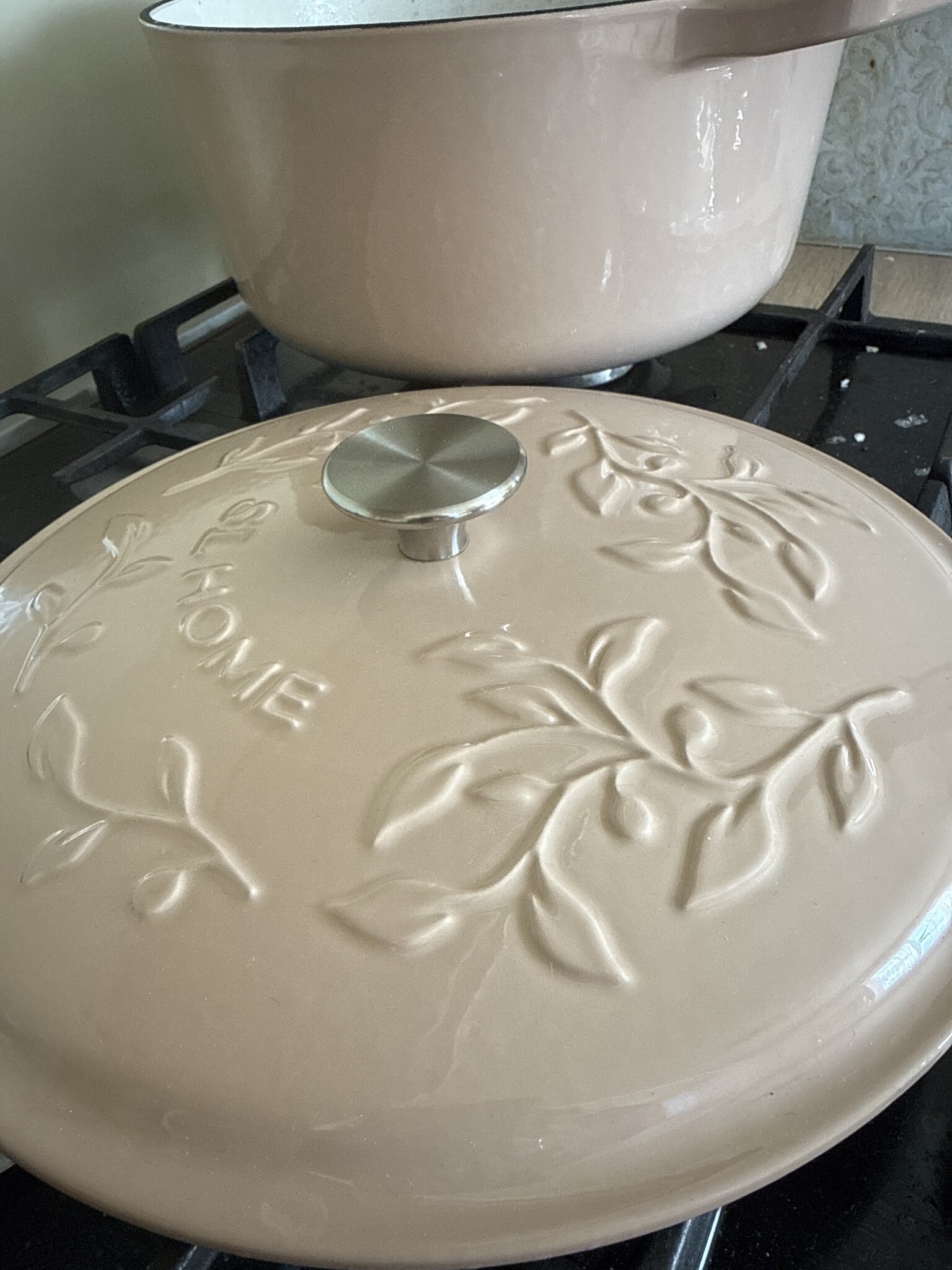 Фотография покупателя товара Кастрюля SL Home, 6 л, d=28 см, h=12.5 см, индукция, с эмалированным покрытием, чугун, бежевая - Фото 2