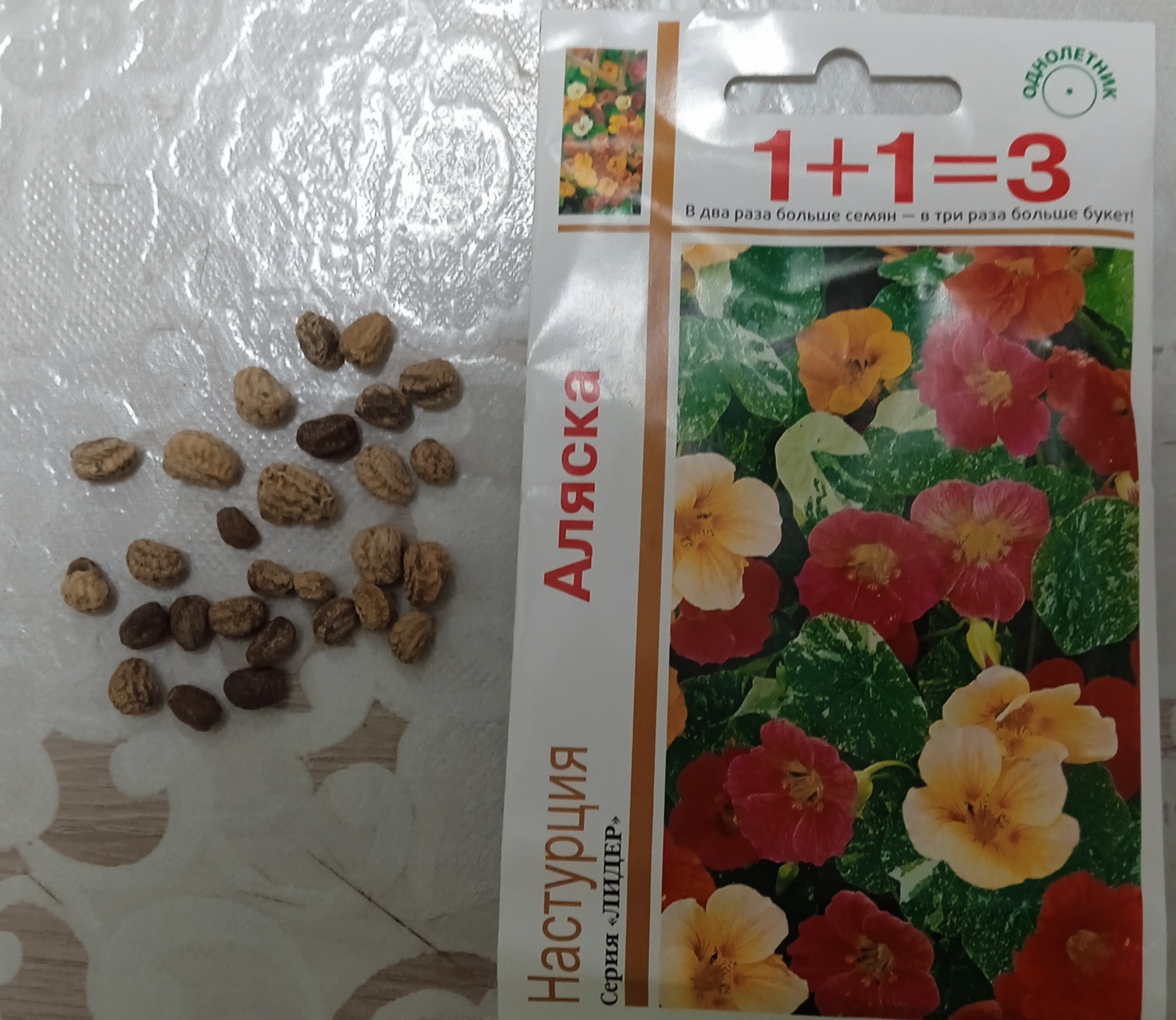 Фотография покупателя товара Семена цветов Настурция 1+1 "Аляска", смесь 3,0 г - Фото 1