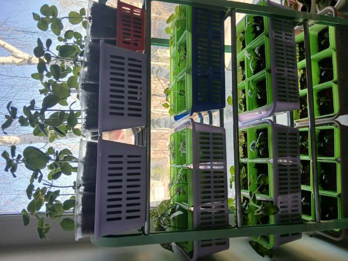 Фотография покупателя товара Полка для обуви Доляна, 4 яруса, 42×19×59 см, чёрная - Фото 2