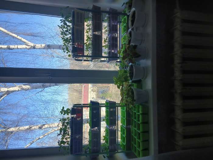 Фотография покупателя товара Полка для обуви Доляна, 4 яруса, 42×19×59 см, чёрная - Фото 3