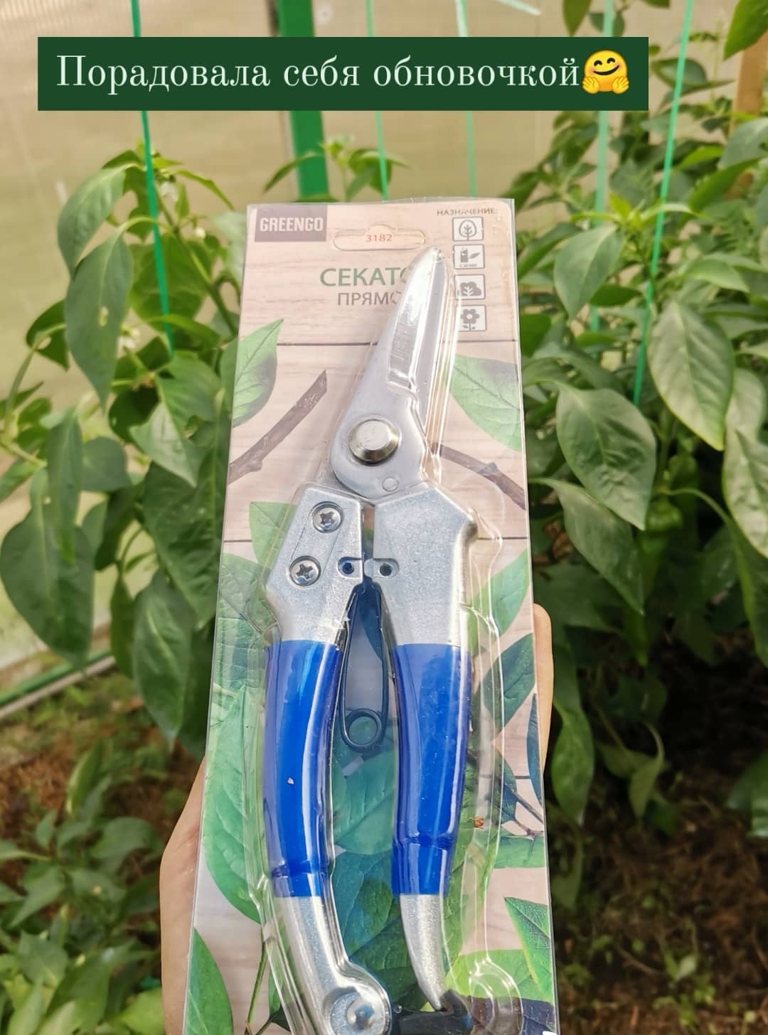 Фотография покупателя товара Ножницы садовые, 8 " (20 см), с пластиковыми ручками - Фото 3
