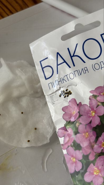 Фотография покупателя товара Семена цветов Бакопа "Пинктопия", 5 шт - Фото 5