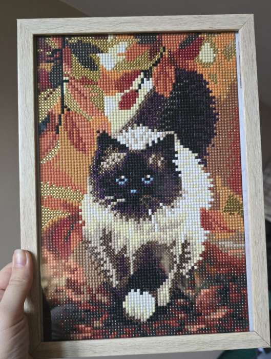 Фотография покупателя товара Алмазная мозаика с полным заполнением на холсте «Кошка», 20×30 см - Фото 1