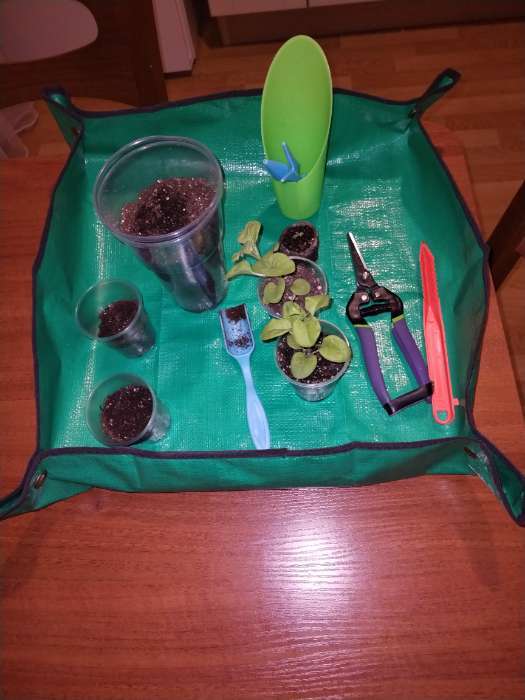 Фотография покупателя товара Коврик для пересадки растений, пластик, 50×50 см, Greengo - Фото 2