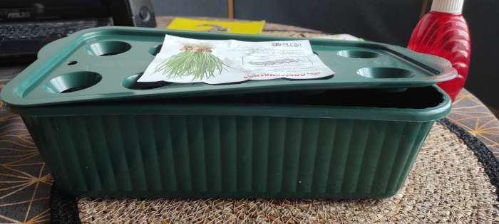 Фотография покупателя товара Лоток для выращивания зелёного лука, 29 × 16 × 8.5 см, цвет МИКС - Фото 15