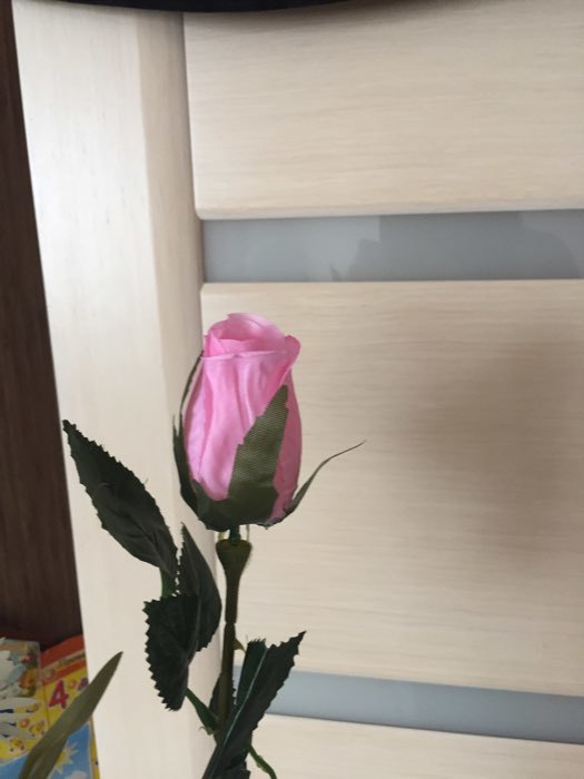 Фотография покупателя товара Цветы искусственные "Роза розовая" 70 см, розовый - Фото 1